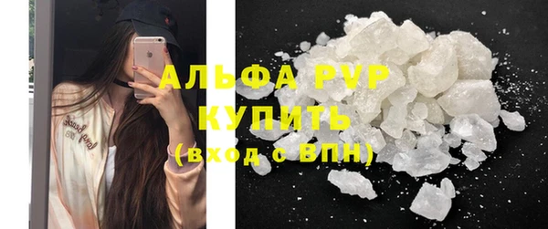хмурый Алексин