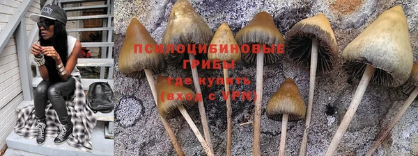 хмурый Алексин