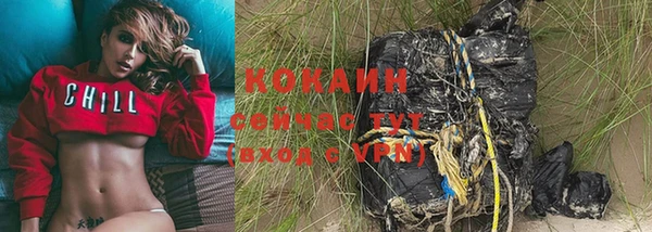 хмурый Алексин