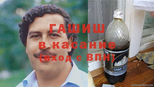 хмурый Алексин